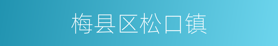 梅县区松口镇的同义词
