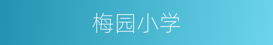 梅园小学的同义词