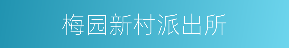 梅园新村派出所的同义词