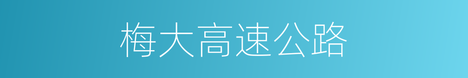 梅大高速公路的同义词