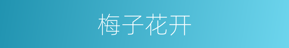 梅子花开的同义词