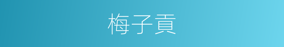 梅子貢的同義詞