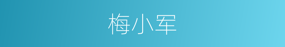 梅小军的同义词