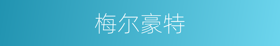 梅尔豪特的同义词