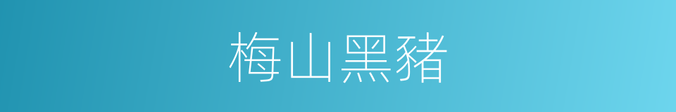 梅山黑豬的同義詞