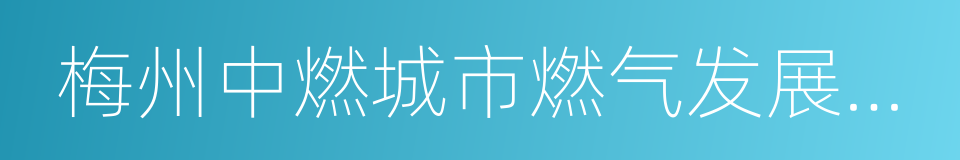 梅州中燃城市燃气发展有限公司的同义词