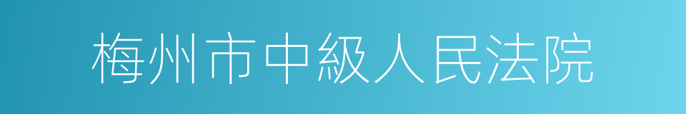 梅州市中級人民法院的同義詞