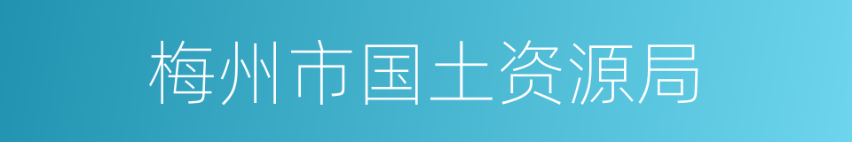 梅州市国土资源局的同义词