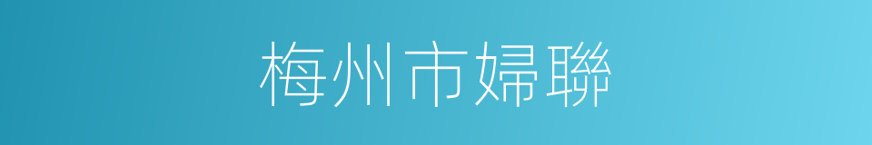 梅州市婦聯的同義詞