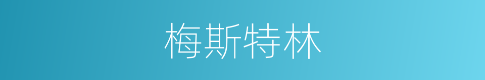 梅斯特林的同义词