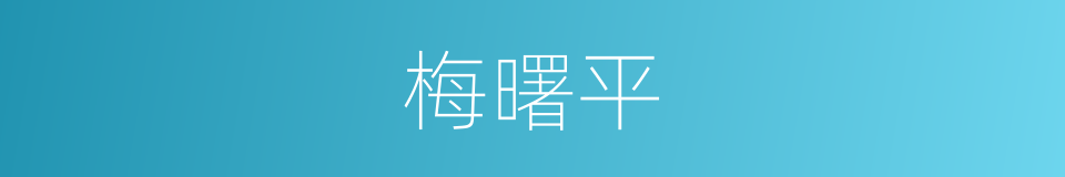 梅曙平的同义词