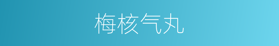 梅核气丸的同义词