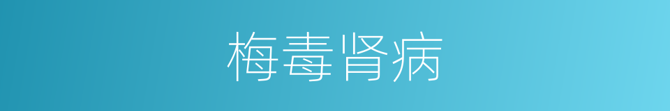 梅毒肾病的同义词