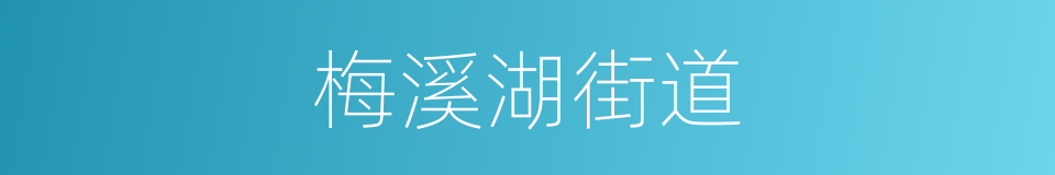 梅溪湖街道的同义词