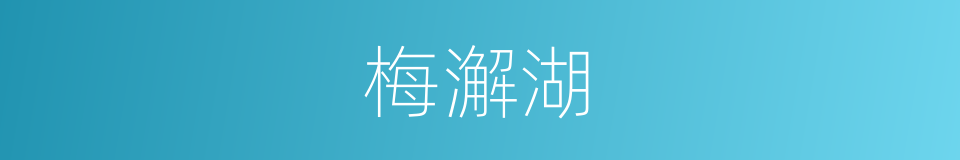 梅澥湖的同义词