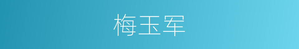 梅玉军的同义词