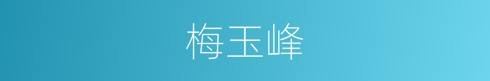 梅玉峰的同义词