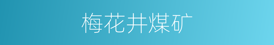 梅花井煤矿的同义词