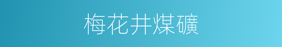 梅花井煤礦的同義詞