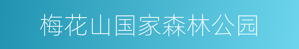 梅花山国家森林公园的同义词