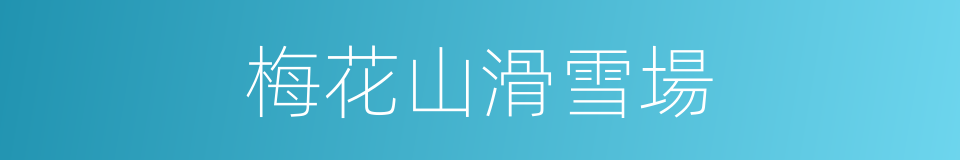 梅花山滑雪場的同義詞