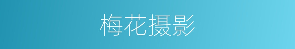 梅花摄影的同义词