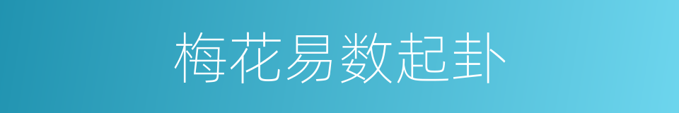 梅花易数起卦的同义词