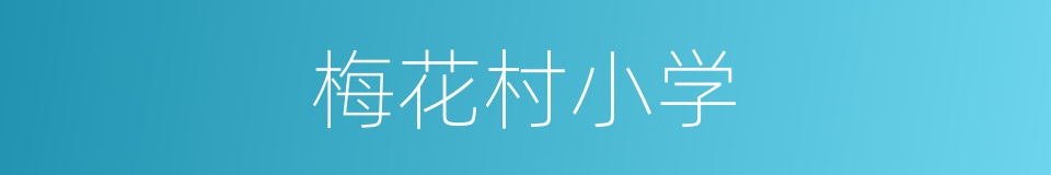 梅花村小学的同义词