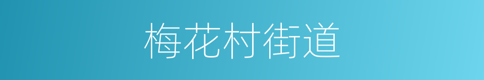 梅花村街道的同义词