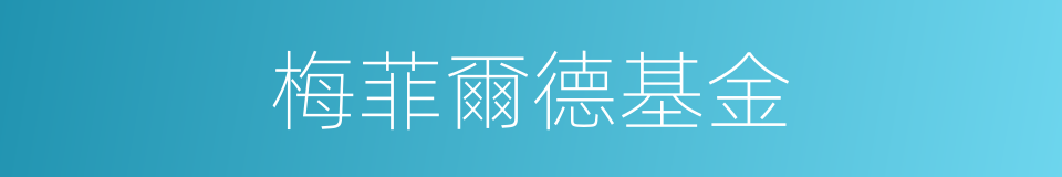梅菲爾德基金的同義詞
