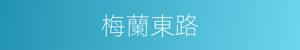 梅蘭東路的同義詞