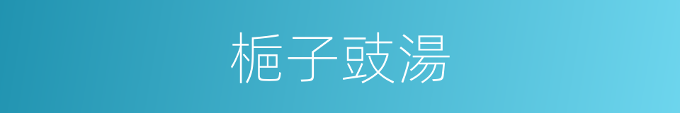 梔子豉湯的同義詞