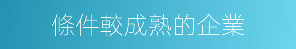 條件較成熟的企業的同義詞