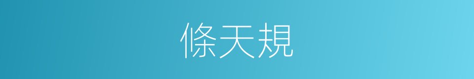 條天規的同義詞