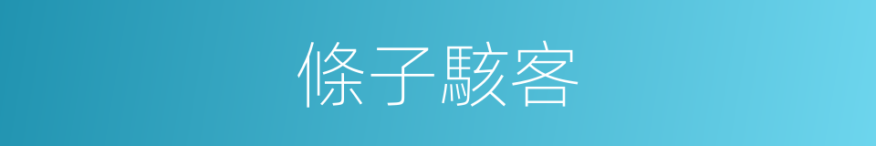 條子駭客的同義詞