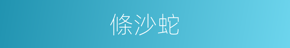 條沙蛇的同義詞