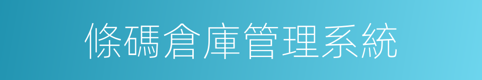 條碼倉庫管理系統的同義詞