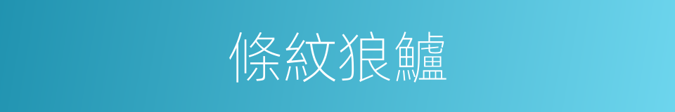 條紋狼鱸的同義詞