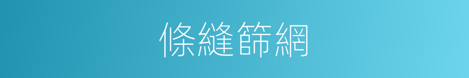 條縫篩網的同義詞