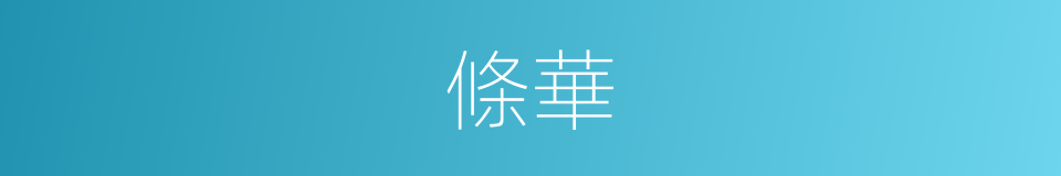 條華的意思