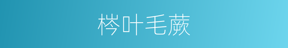 梣叶毛蕨的同义词