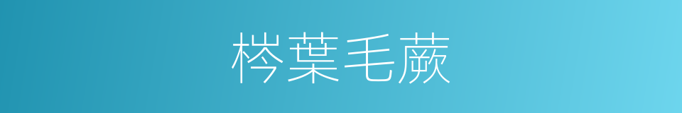 梣葉毛蕨的同義詞