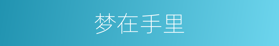 梦在手里的同义词