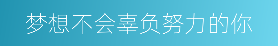 梦想不会辜负努力的你的同义词