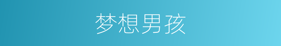 梦想男孩的同义词