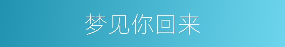 梦见你回来的同义词