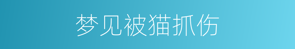 梦见被猫抓伤的同义词