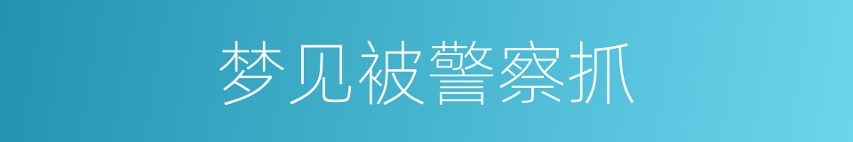 梦见被警察抓的同义词