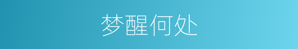 梦醒何处的同义词