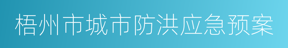 梧州市城市防洪应急预案的同义词